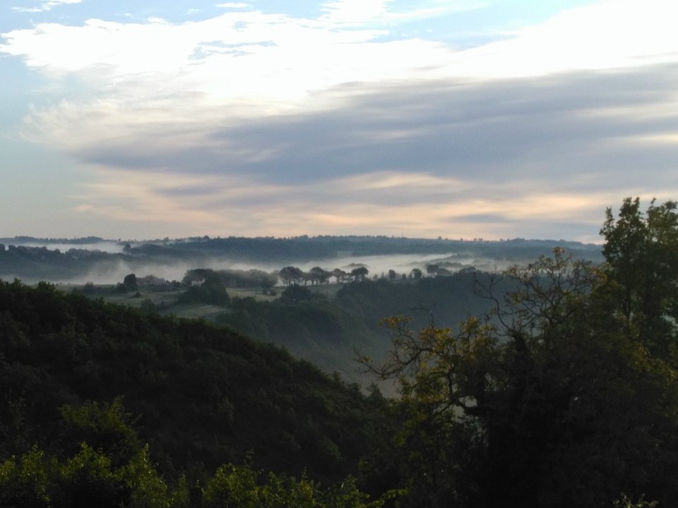 Morning Mist from Terrace